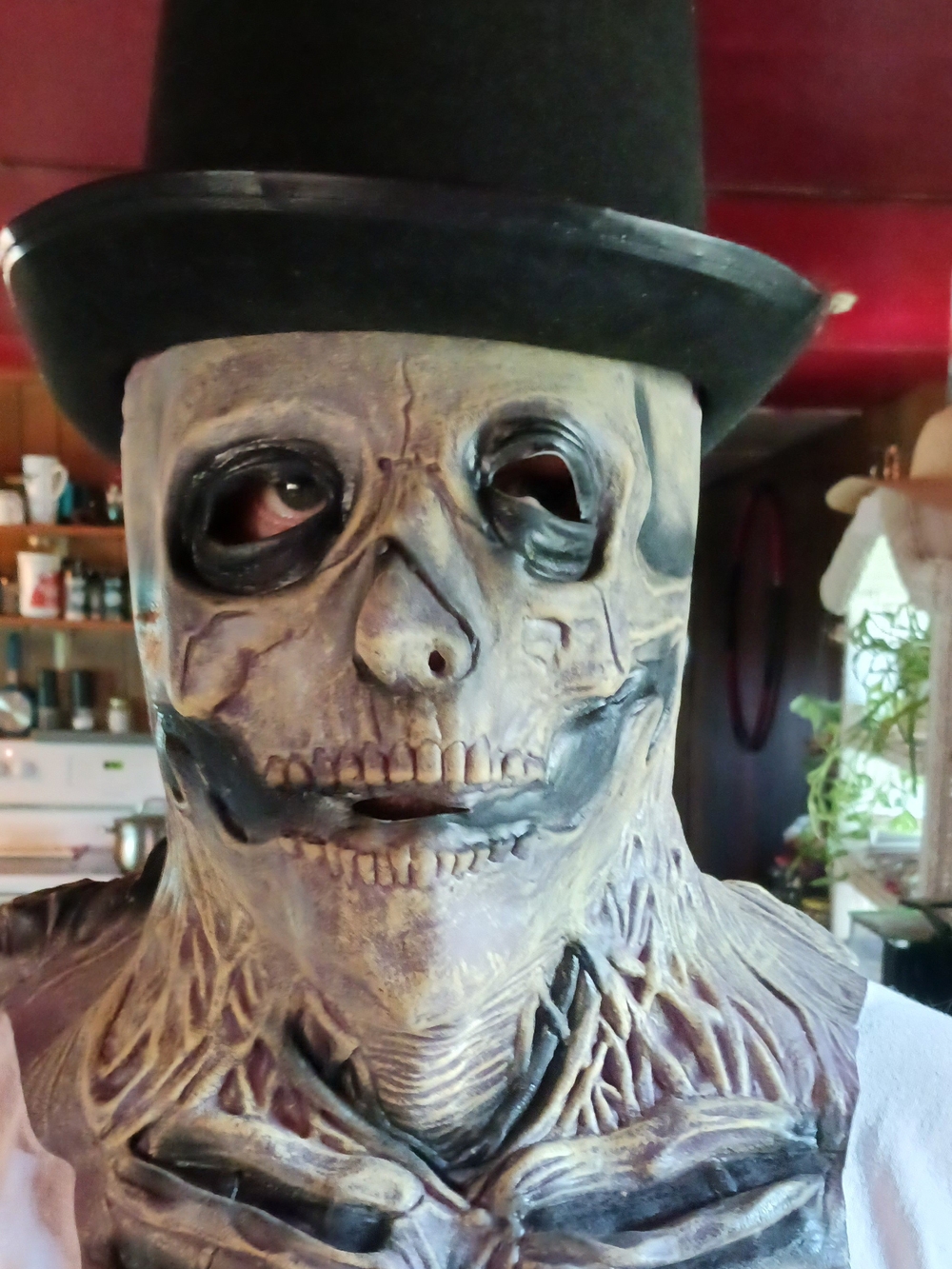 Decorative Skeleton Mask Wall Art - Black and Bone Tones